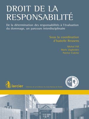 cover image of Droit de la responsabilité